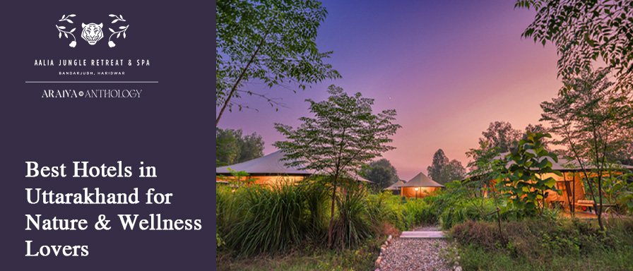 Best Hotels in Uttarakhand for Nature & Wellness Lovers