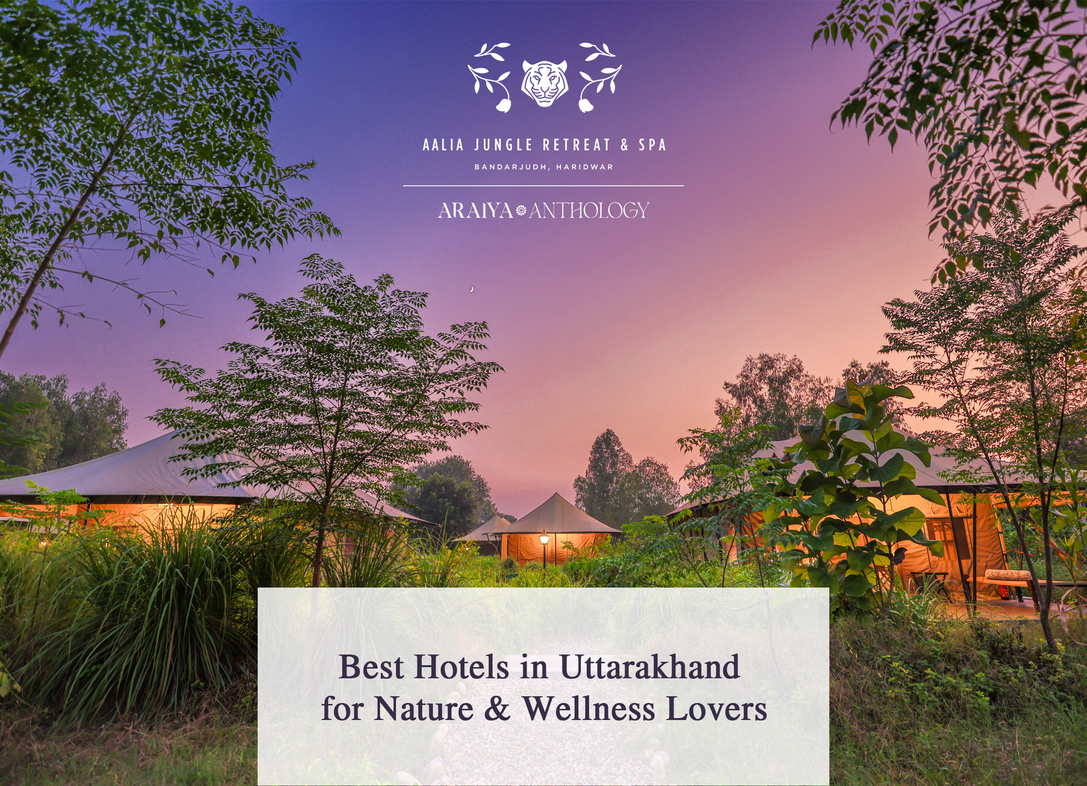 Best Hotels in Uttarakhand for Nature & Wellness Lovers